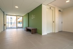 Fotoreportage - 5.jpg